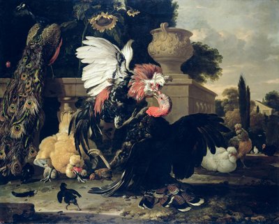 Pelea entre un gallo y un pavo de Melchior de Hondecoeter